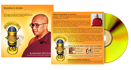 Insight Meditation - Sayadaw U Janaka