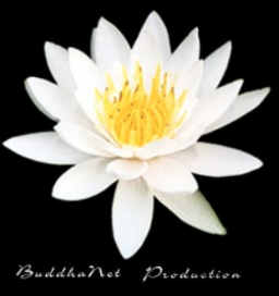 BuddhaNet Production
